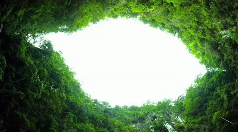 Impressive karst mountain lagoon hidden in jungle. Scenic nature background Stock Footage 64877792