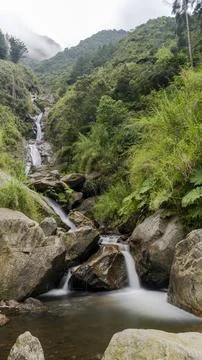 Impressive long exposure image of river in ecuador. Stock Photos