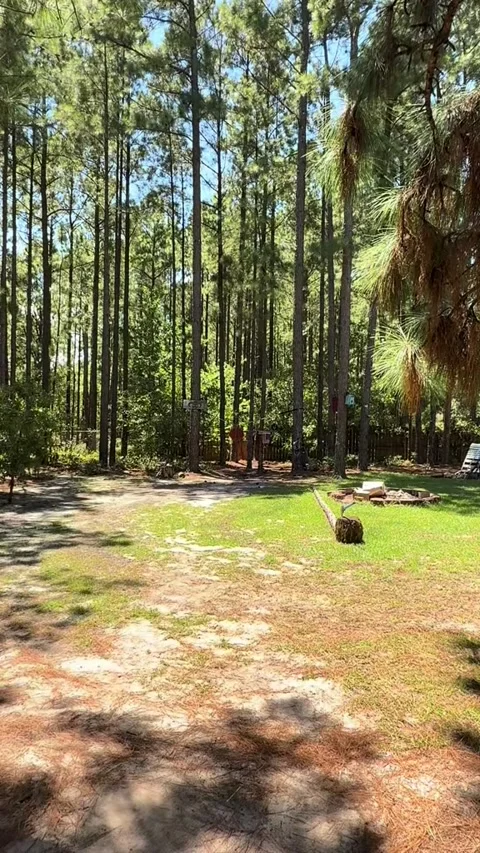 Impressive Long-Range Axe Throwing - 25 Jul 2025 Stock Footage 314077499