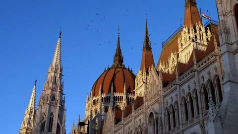 Impressive low-angle view of the Hungarian Parliament with birds flying around Stock Footage 320055459