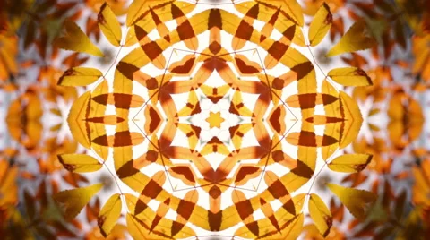 Impressive ornate mosaic pattern with autumn leaves like flower Stock Footage 57683444