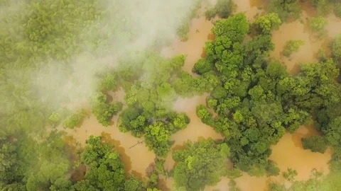 Impressive river flood in Central America Stock Footage 102399307
