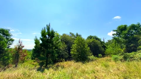 Impressive shot of Hog Mountain Stock Footage 138331474