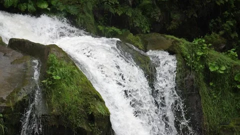 Impressive Slow-Mo Waterfall in the Forested Mountains, Ukraine, Carpathians Stock Footage 260301546