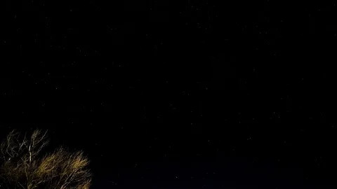 Impressive starry night sky over wild tree,universe star motion earth rotation Stock Footage 122930813