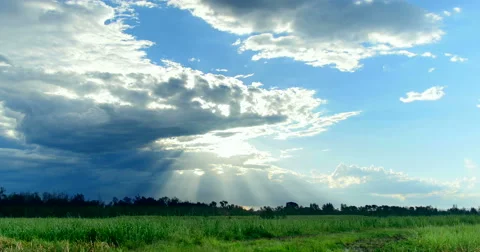 Impressive summer landscape over fields and dark blue sky Stock Footage 53836271