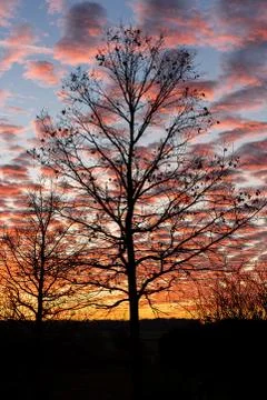 Impressive sunset with spectacular clouds and silhouettes of trees Stock Photos