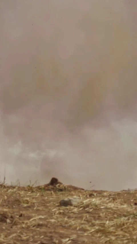 Impressive vertical shot of a dynamite explosion used for excavation Stock-Footage 308760210