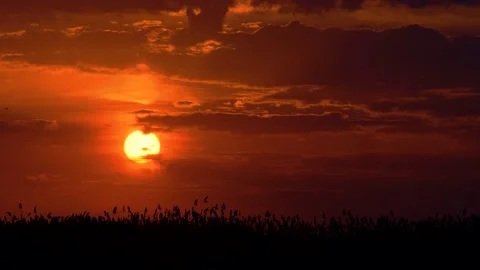 Impressive View of Shiny Rising Sun Stock Footage 142586565