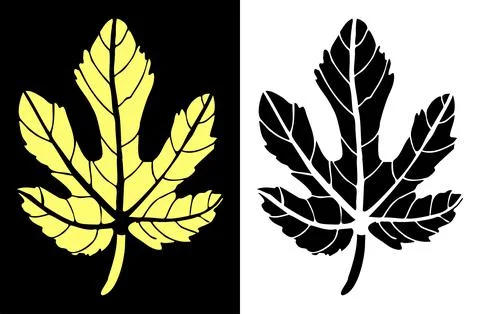 The imprint of a Fig leaf Stock Illustration