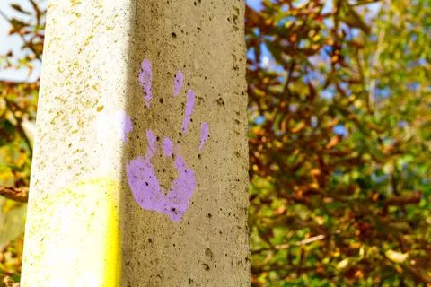Imprint of the human palm 写真素材