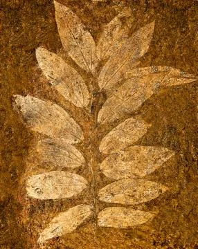 The imprint leaf on cement floor Stock Photos