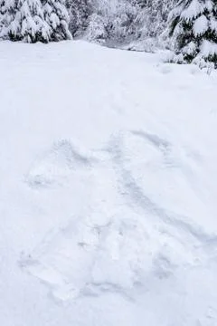 The imprint on the snow in form of angel Foto stock