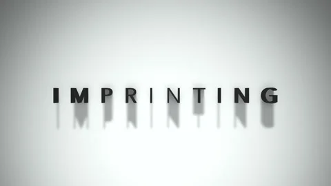 Imprinting 3D title animation matte black text on a white background Stock Footage 300717888
