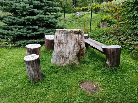 An impromptu table and benches made from sawn tree trunks on a green lawn Stock Photos