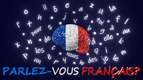 Improve your French Learning Foreign language fluency improvement Human brain Stock Footage 246681785