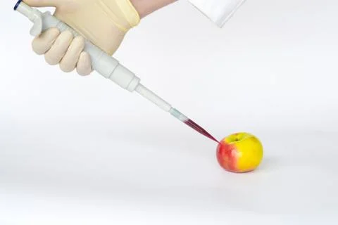 Improving apples Stock Photos