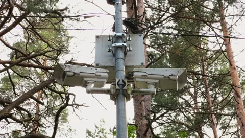 Improving network coverage in natural areas with a wireless tower in the forest Video stock 277846816