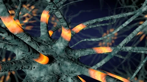 Impulses between neurons Stock Footage 43058354