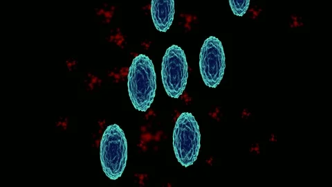 Impulses neurons brain Stock Footage 101194256