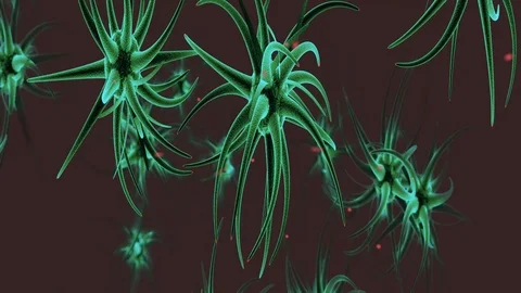 Impulses neurons brain Stock Footage 101194264
