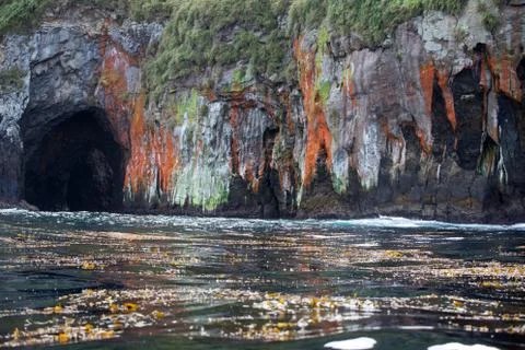 Inaccessible Island. The cliff faces and ocean swell Stock Photos