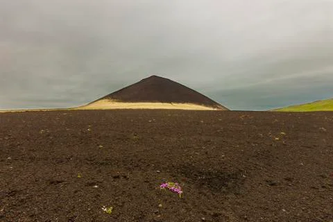 Inactive volcano in Iceland Stock Photos