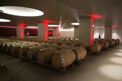Inauguration of the wine cellar Rothschild-Vega Sicilia in Samaniego, Spain - 16 Stock Photos