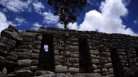 Inca Ruin Wall With Tree [Timelapse] Stock Footage 88390691