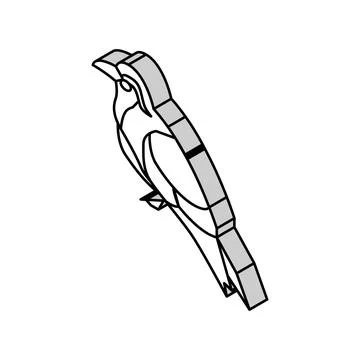Inca tern bird exotic isometric icon vector illustration 스톡 일러스트