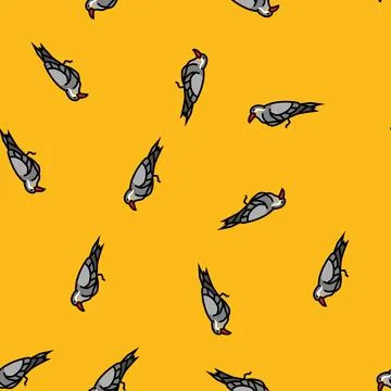 Inca tern bird exotic vector seamless pattern 스톡 일러스트