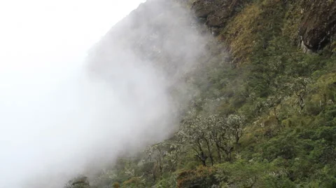 Inca Trail Mist Stock Footage 2732707