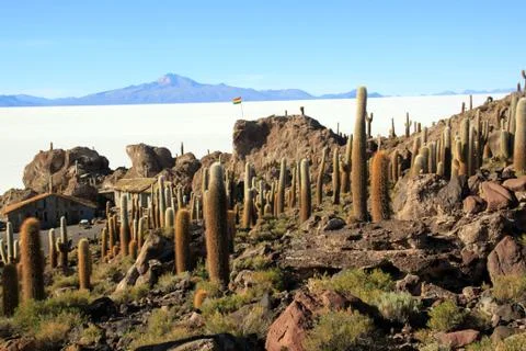 Incahuasi Stock Photos
