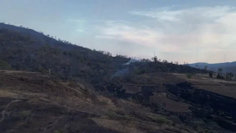 INCENDIO 131 Stock Footage 151810965