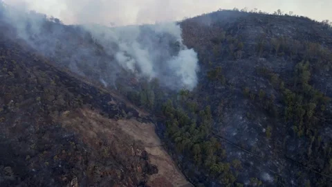 INCENDIO 21 Stock Footage 151808491
