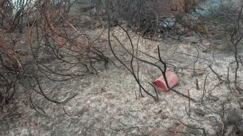 Incendio Video stock 201490271