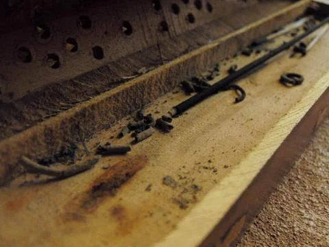 Incense ashes. Stock Photos