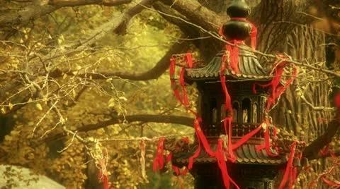 Incense burner and ginkgo tree in wind,china antiques monuments culture. Stock Footage
