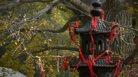Incense burner and ginkgo tree in wind,monuments,antiques,culture. Stock Footage