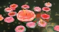 Incense Burning Candles Water Floating Lucky Coins Fountain China Temple Closeup HD Footage