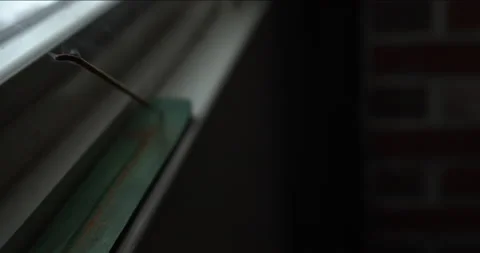 Incense Burning Stock Footage 147882745