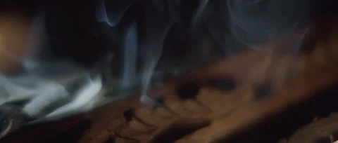 Incense burning in a holder Video stock 160073513