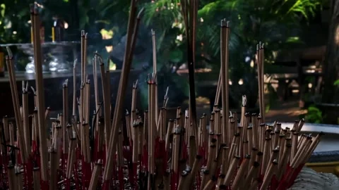 Incense burning in slow motion in forest Stock Footage 208837670