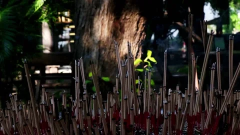 Incense burning in slow motion in forest Stock Footage 209811106
