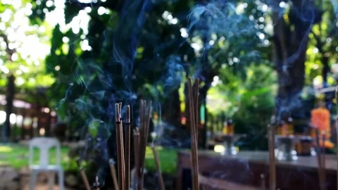 Incense burning in slow motion in forest Stock Footage 209811366