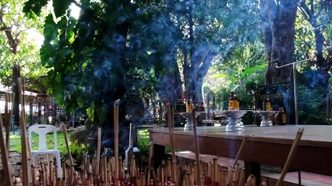 Incense burning in slow motion surrounded by nature Stock Footage 208837779