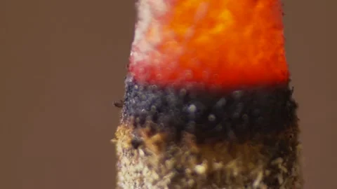 INCENSE 库存影片 147632836