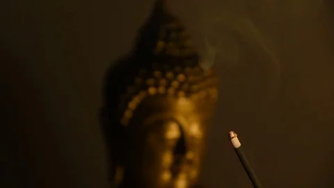 Incense stick with buddha in background Stock Footage 81628421
