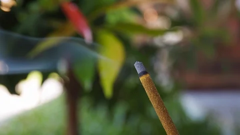 Incense stick burning blurry background original speed Stock Footage 122114994