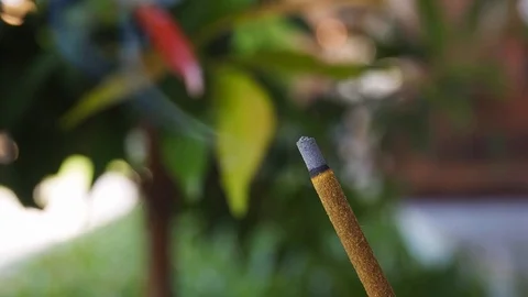 Incense stick burning blurry background slow motion Stock Footage 122115106